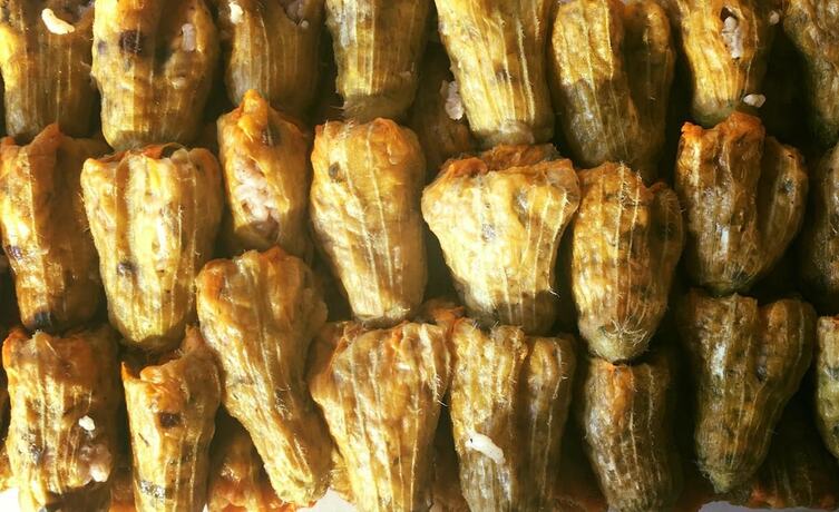 Imagen general del Ipekce Tatil Evleri. Foto 6