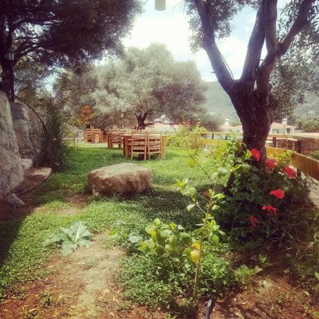 Imagen general del Ipekce Tatil Evleri. Foto 9