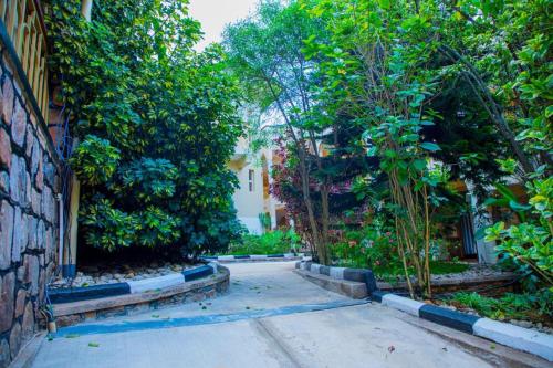 Imagen general del Iris Guest House. Foto 16
