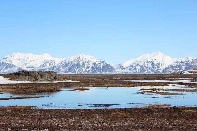 Imagen general del Isfjord radio. Foto 8