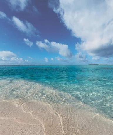 Imagen general del Island Life Maldives Retreat and Spa. Foto 2