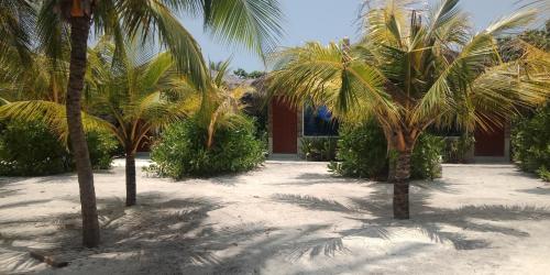Imagen general del Island Life Maldives Retreat and Spa. Foto 8