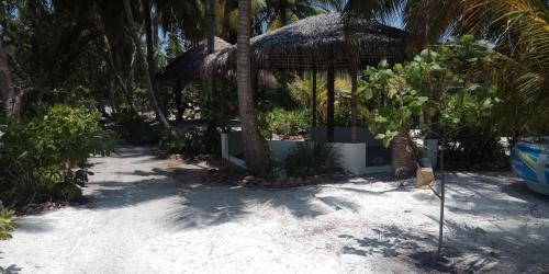 Imagen general del Island Life Maldives Retreat and Spa. Foto 9