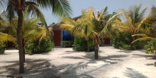 Imagen general del Island Life Maldives Retreat and Spa. Foto 10