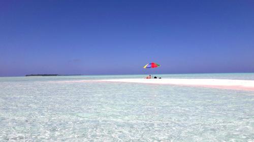 Imagen general del Island Life Maldives Retreat and Spa. Foto 11