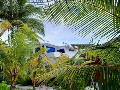 Imagen general del Island Life Maldives Retreat and Spa. Foto 14