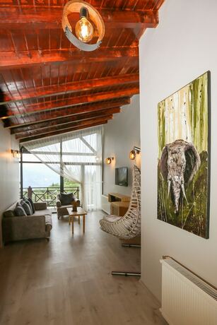 Imagen general del Ispendam Tess Otel. Foto 10