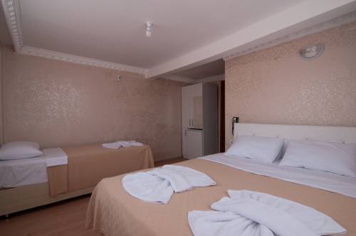 Imagen de la habitación del Istanbul Budget Hotel, Fatih. Foto 2