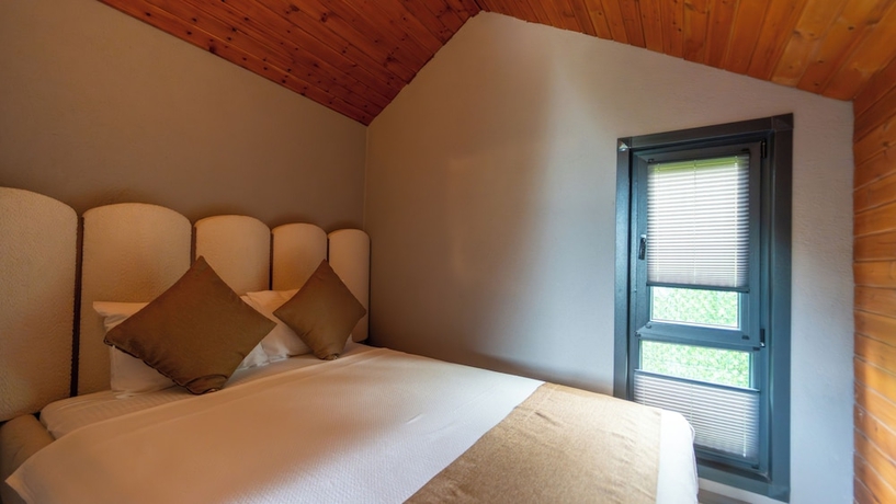 Imagen de la habitación del JUNGLOW Sapanca. Foto 6