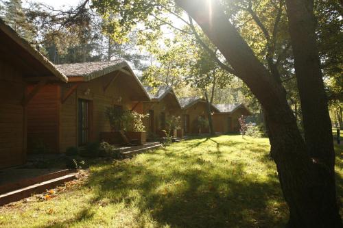 Imagen de la habitación del Jabłoń Lake Resort. Foto 6
