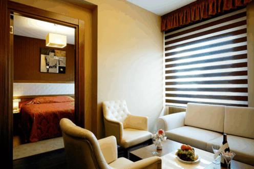 Imagen de la habitación del Jaleriz Gaziantep Hotel. Foto 8