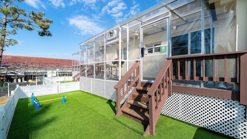 Imagen de la habitación del Jeju Dangdangi Dog Pension Black. Foto 4