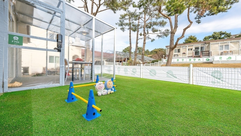 Imagen de la habitación del Jeju Dangdangi Dog Pension Black. Foto 8