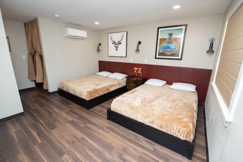 Imagen general del Jellystone Park Hill Country. Foto 11