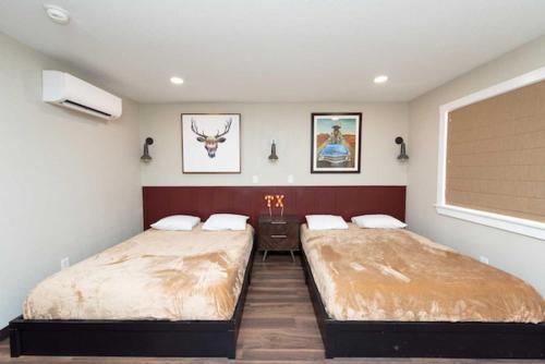 Imagen general del Jellystone Park Hill Country. Foto 13