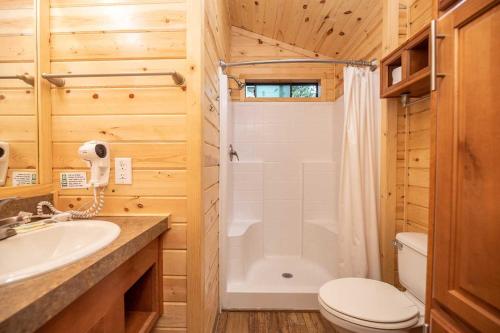 Imagen general del Jellystone Park Tower Park Resort. Foto 11