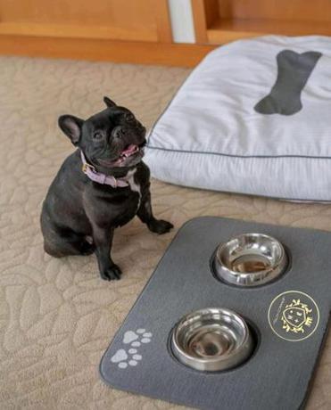 Imagen general del Jeranco Hotel. Foto 2