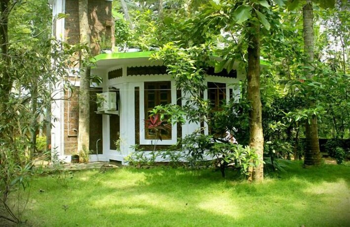 Imagen general del Jickys Nest. Foto 4