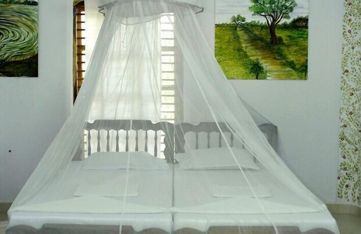 Imagen de la habitación del Jickys Nest. Foto 14