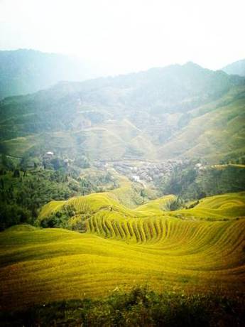 Imagen de la habitación del Jinkeng Inn. Foto 2