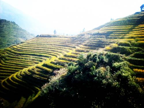 Imagen de la habitación del Jinkeng Inn. Foto 5