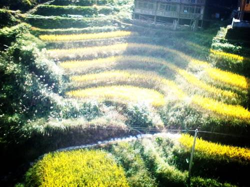 Imagen de la habitación del Jinkeng Inn. Foto 6