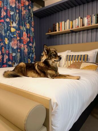 Imagen general del Jost Hotel Le Havre Gare. Foto 4