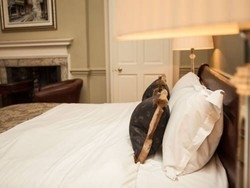 Imagen general del Judges Lodging. Foto 2