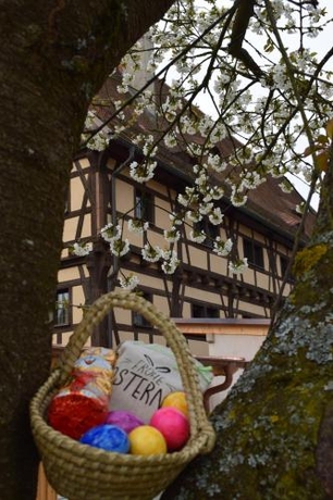 Imagen general del Jugendherberge Dinkelsb&uuml;hl. Foto 3