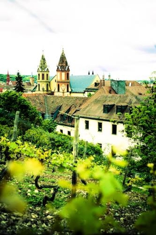 Imagen general del Jugendherberge W&uuml;rzburg - Hostel. Foto 5