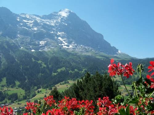 Imagen general del Jungfrau Lodge, Annex Crystal. Foto 2