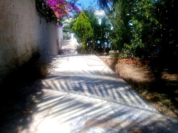 Imagen de los interiores del Jungle Apart Hotel. Foto 17