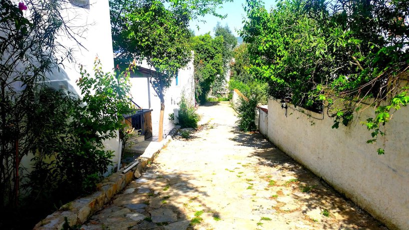 Imagen de los exteriores del Jungle Apart Hotel. Foto 16