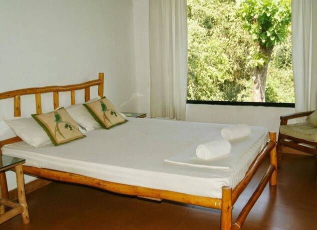 Imagen general del Jungle By Thehostelcrowd. Foto 12