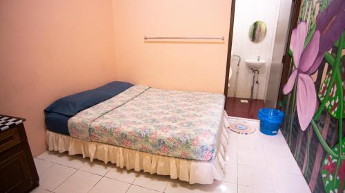 Imagen general del Jungle Ippie Hostel. Foto 2