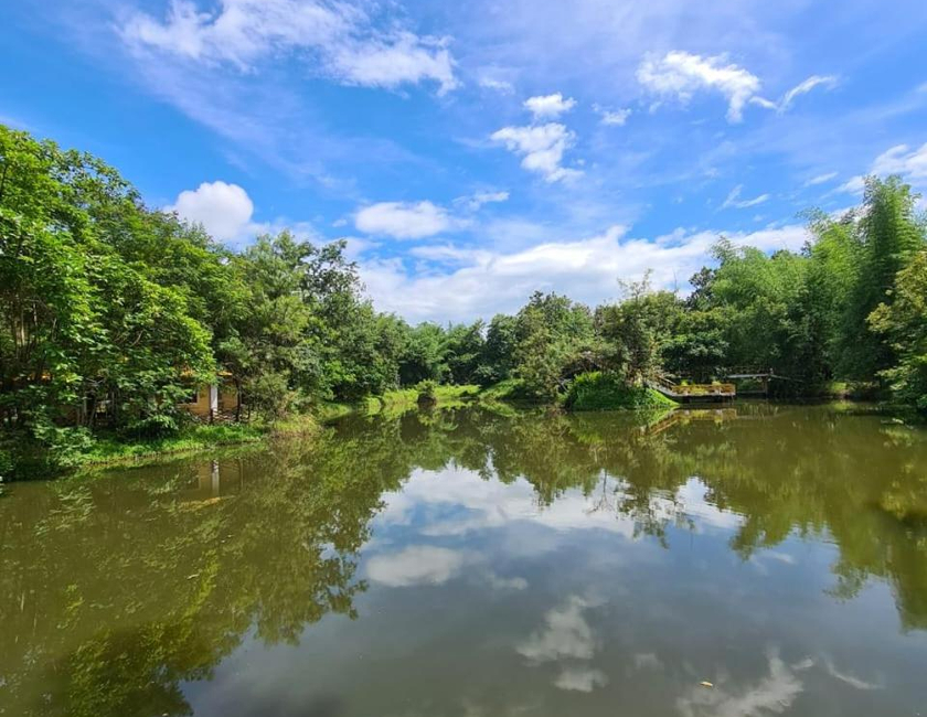 Imagen general del Jungle King Resort, Kanha. Foto 11