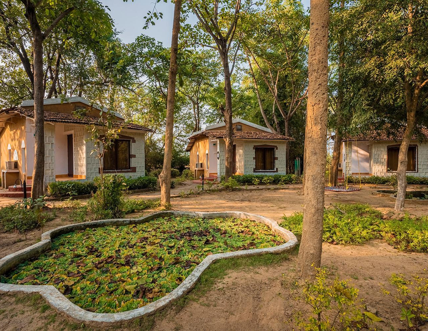 Imagen general del Jungle King Resort, Kanha. Foto 15