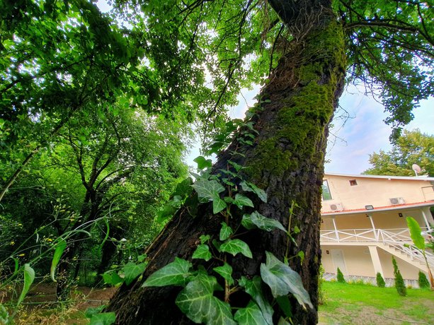 Imagen de los exteriores del KADİFELİ KONAK OTEL. Foto 20