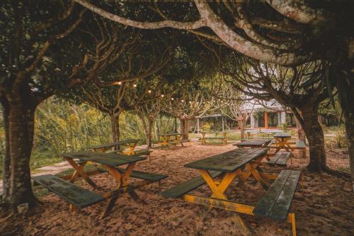 Imagen general del KANTU GARDEN LODGE. Foto 5