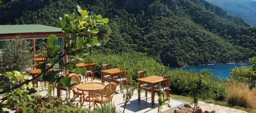 Imagen del bar/restaurante del Kabak Avalon. Foto 8