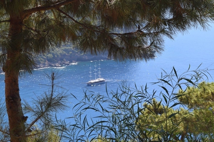 Imagen general del Kabak Avalon. Foto 3