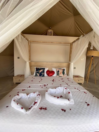 Imagen de la habitación del Kabak Freedom Deluxe Hotel. Foto 9