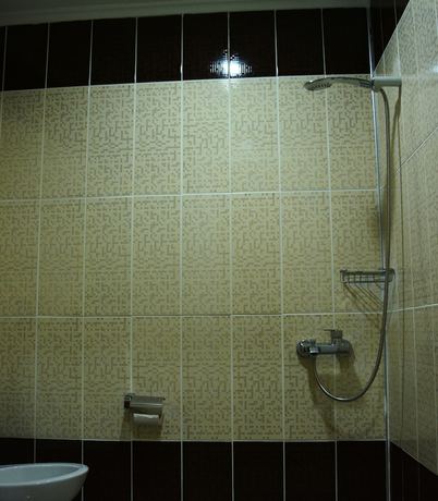 Imagen de la habitación del Kafkasya Hotel. Foto 14