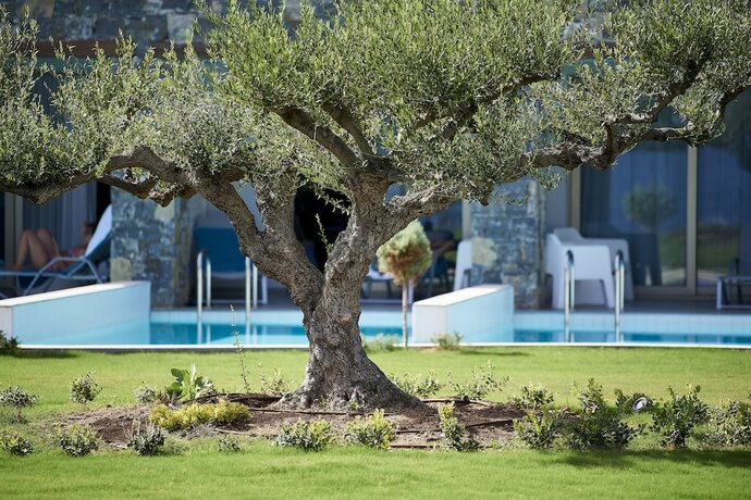 Imagen general del Kakkos Beach Hotel - Adults Only. Foto 3