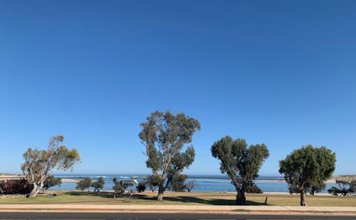 Imagen general del Kalbarri Motor Hotel. Foto 4