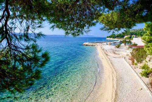 Imagen general del Kamp Dole - Navores. Foto 4