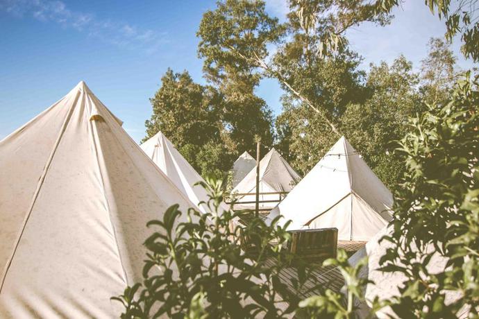 Imagen de los exteriores del Kampea Playa de Gandia. Foto 7