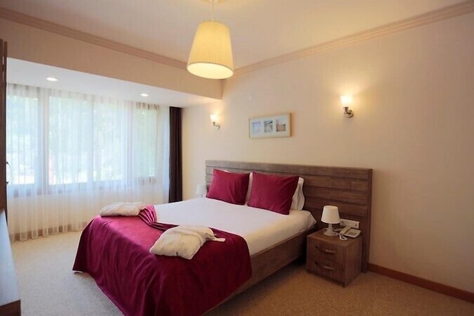 Imagen de la habitación del Kapri Termal Hotel and Kaplica Yalova. Foto 12