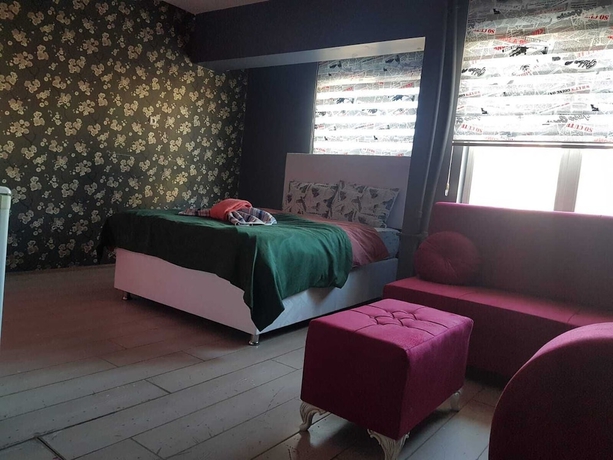 Imagen de la habitación del Kar Suit. Foto 10