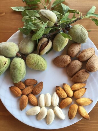 Imagen general del Karia Apart. Foto 11